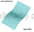 RAL 6027 1.jpg
