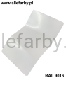 RAL 9016 5.jpg