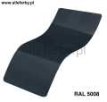 Ral 5008.jpg