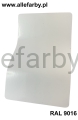 RAL 9016 6.jpg