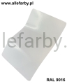 RAL 9016 7.jpg