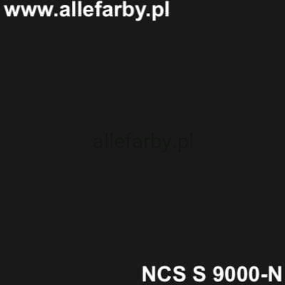 NCS S 9000-N.jpg
