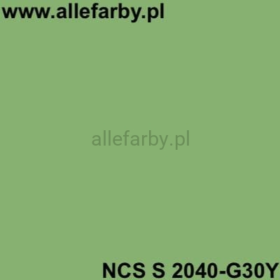 NCS S 2040-G30Y.jpg