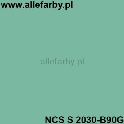 NCS S 2030-B90G.jpg