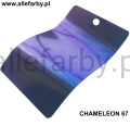 CHAMELEON 67.jpg