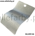 SILVER 66.jpg