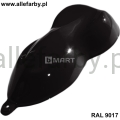 RAL 9017.jpg