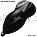 RAL 9017 mat.jpg