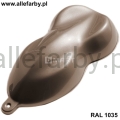 RAL 1035.jpg