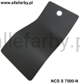 NCS S 7500-N.jpg