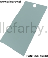 Pantone 5503U .jpg