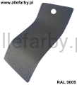 RAL 9005 1620.jpg