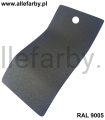 RAL 9005 1620 1.jpg
