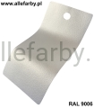 RAL 9006 934.jpg