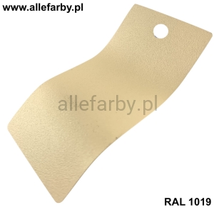 RAL 1019 Farba Proszkowa Poliestrowa Kolor Szaro-Beżowy Drobna Struktura Mat P/F5/U/1773/8-135 Minimum 20 kg
