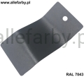 RAL 7043 1989.jpg