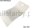 RAL 7047 640 1.jpg