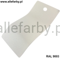 RAL 9003 1613.jpg