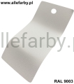 RAL 9003 1613 1.jpg