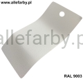 RAL 9003 1613 2.jpg