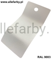 RAL 9003 1734 1.jpg