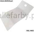 RAL 9003 1734 2.jpg