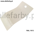 RAL 1013 942 2.jpg