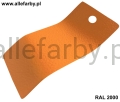 RAL 2000 1173.jpg