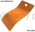 RAL 2000 1173 1.jpg
