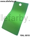 RAL 6018 1158 2.jpg