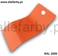 RAL 2009 1256.jpg