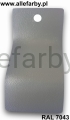 RAL 7043 1151 2.jpg