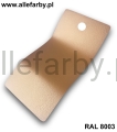 RAL 8003 1201 1.jpg