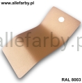 RAL 8003 1201 2.jpg