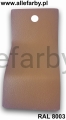 RAL 8003 1201.jpg