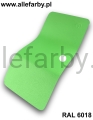 RAL 6018 DR. STR allefarby 1.jpeg