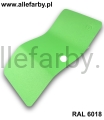 RAL 6018 DR. STR. allefarby 2.jpeg
