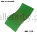 RAL 6002.jpg