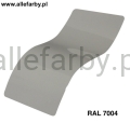 RAL 7004.jpg