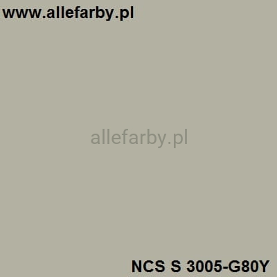 NCS S 3005-G80Y.jpg