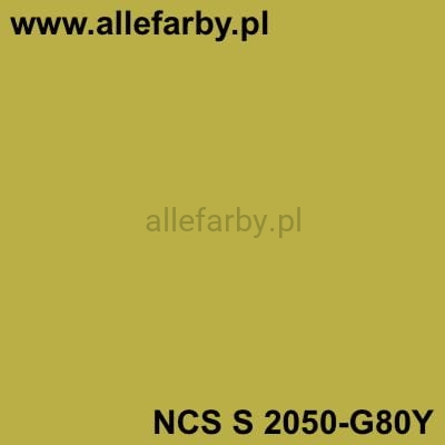 NCS S 2050-G80Y ALLEFARBY.jpg