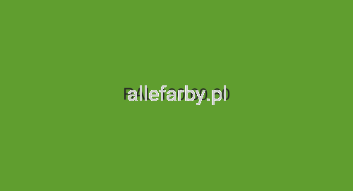 RAL 130-60-60.png