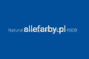 NCS S 3060-R80B Farba Proszkowa Poliestrowa Gładki Połysk P/S1/U/P7653/H-194 Minimum 20 kg ( Farba do produkcji )