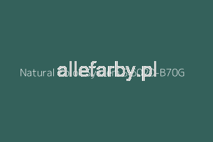 NCS S 6020-B70G Farba Proszkowa Epoksydowo - Poliestrowa Drobna Struktura Mat EP/F4/U/P7652/H-191 Minimum 20 kg ( Farba do produkcji )