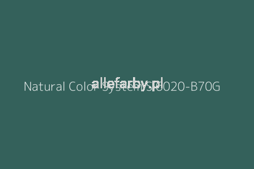 NCS S 6020-B70G.jpg