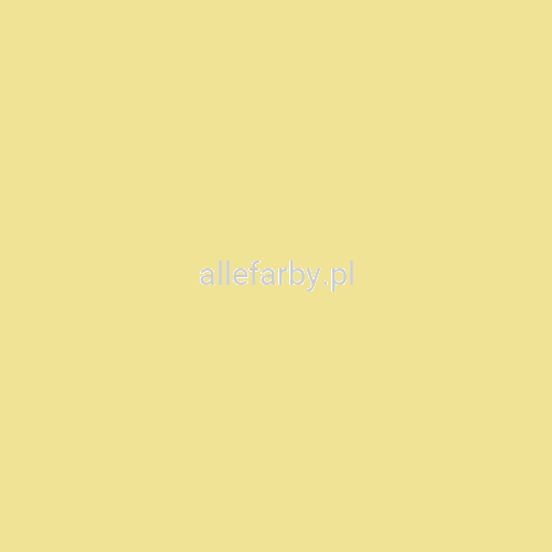 095-90-40-800x800.png
