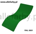 RAL 6001.jpg