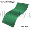 RAL 6024.jpg