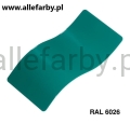 RAL 6026.jpg