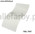 RAL 7047.jpg